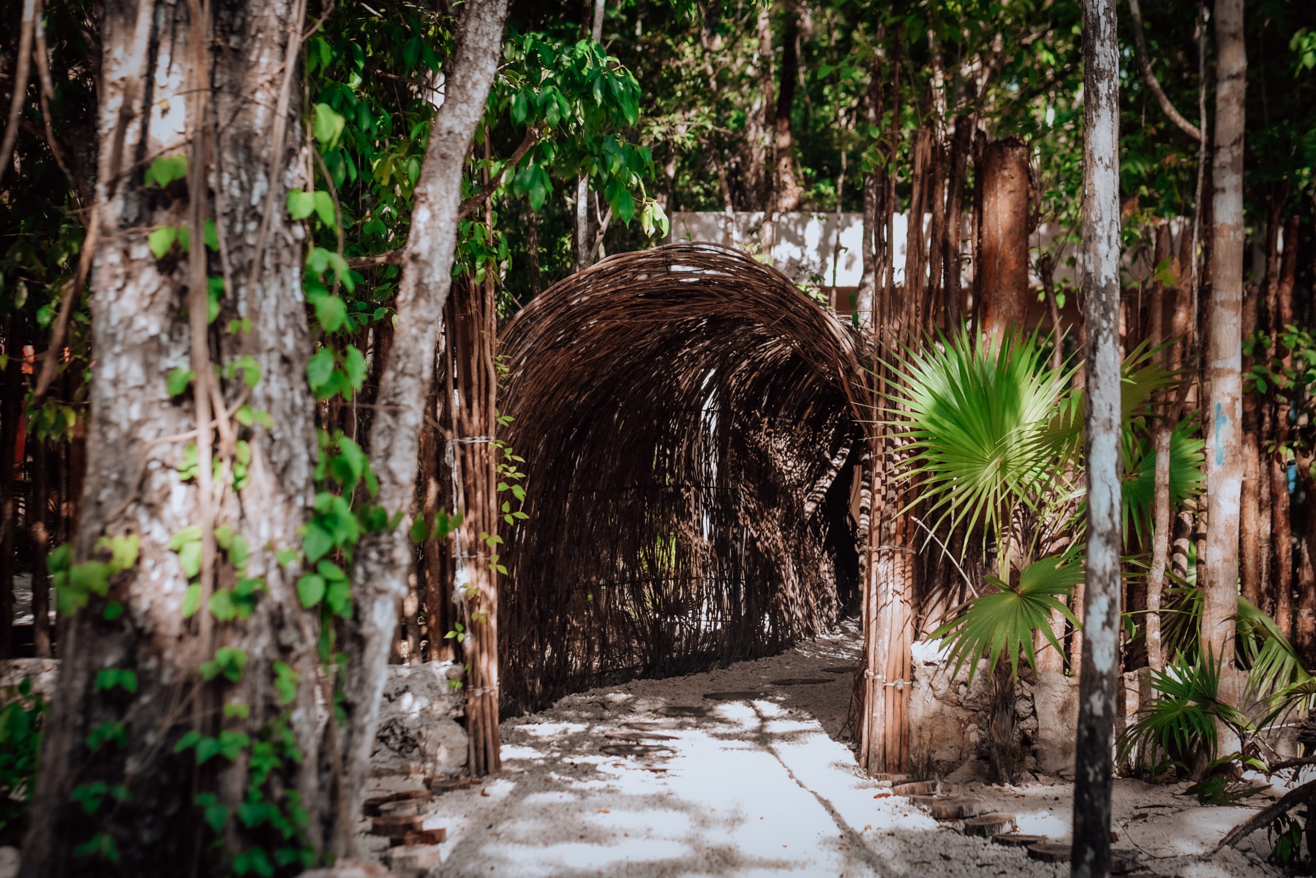 yoga retreat - Mexico - Jennifer Jane Young